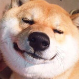 tuotuoooooo