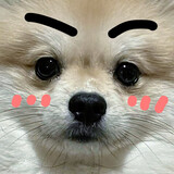l____outouyingyeing