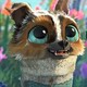 creator avatar