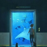 absquid