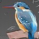 creator avatar