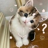 Kimmyang!!