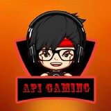 API.GAMIN