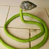 JAJARGENJANG.ID