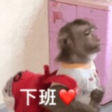 daxiongmi