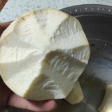 zuihanwaxili