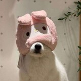 tingshuoyule