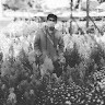 bili_1573091227