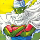 piccolodamowangです