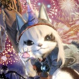 hei____kongjuzheng