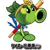 pvzbadige