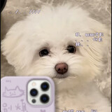 ____bushixiaobixiong