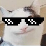 JMAD.
