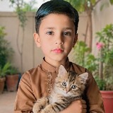 Mhr Tauqeer