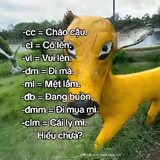 Dang Bảo Đăng