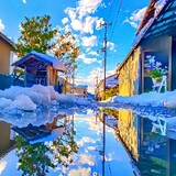 おぴん