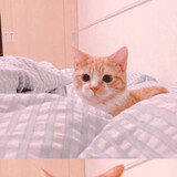 nixiuxiang