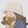 Anime.english.dub