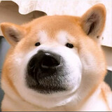 laoshirengouzilixin2