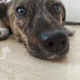 wodezhuanyongnecheng