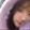 -xingrenlulu