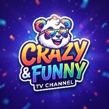 Crazy & Funny