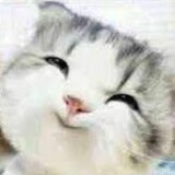 tuqifulidajiemi