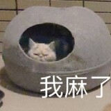 jiannvyouhun