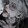 Saleefah Araya_3716