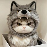 weixun________