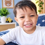 Alpian Anis Ismail