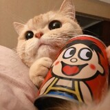 banzhuanli