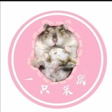 xiaobenshumengchong