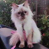 TambayanNiBossing101