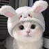 Ms. meow meow
