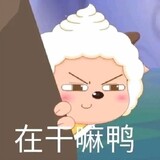 chaojikeaibudongdong