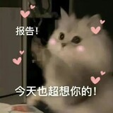 jiujiu1007