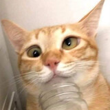 meilinyou___