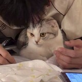 lunaxu_maewdxng