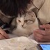 lunaxu_maewdxng