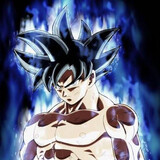 INSTINCT GOKU