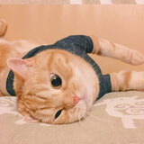 nailaoshiyizhi___