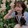 yiliying