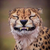 xiao___edongwushijie