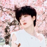 qiwenhaohao