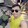 Jack lord Lañohan
