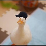 Luu - kun