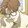 simbad-chan