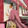 feiwenli___