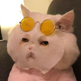 _xiaoyangsansan_